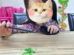 -浦东三林赢在起点早教中心·亲子托班早教体验课儿童兴趣班逻辑思维专注力幼小衔接			(金谊广场中心)