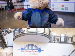 -悉尼海港大桥