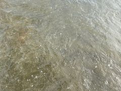 -台山黑沙湾海浴场