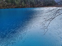 -乡土特色.冷锅鱼.牦牛肉汤锅