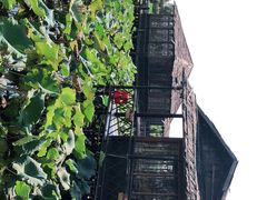 -军山湖云水间水上餐厅(进贤店)