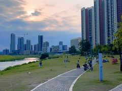 -坪山湿地公园