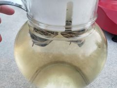 -墨脱石锅椰子鸡•香草鸭•东山羊(大东海店)