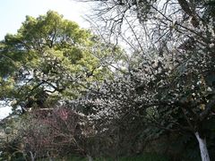 -杭州西湖风景名胜区-北街寻梦