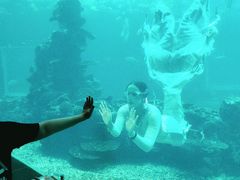 -海棠湾洲际-涛·海底餐厅·美人鱼·自助餐·海底隧道