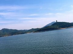 -望湖烤鱼