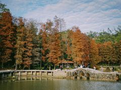 -深圳仙湖植物园