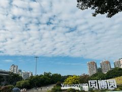 -深圳国际园林花卉博览园