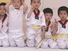 -勇气斑马·巴西柔术&跆拳道(浦东三林店)