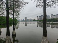 -飞来湖湿地公园