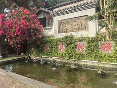 -广东天露山旅游度假区