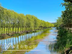 -西青郊野公园