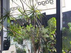 -gaga(深圳南山益田假日广场店)