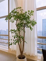 -JNK皮肤管理中心