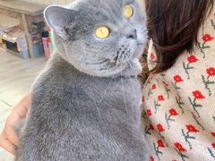 -海边的猫和咖啡馆