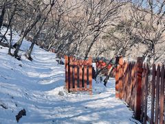 -阳台山自然风景区
