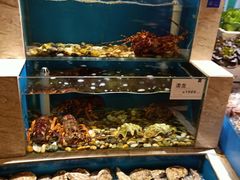 -福娣·金沙银贝海鲜火锅
