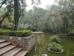 -九龙公园