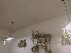 -春风·有糖(崇宁路店)