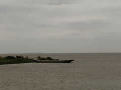 -洪湖湿地生态园