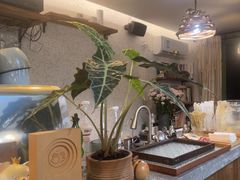 -绿房子方寸咖啡(星海名城店)