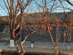 -春风习习