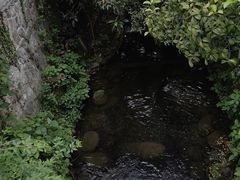 -中国茶叶博物馆(双峰馆区)