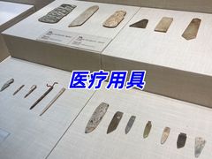 -广东中医药博物馆