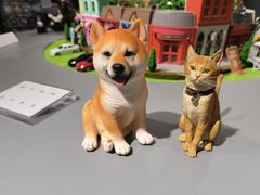 -星光摄影器材城