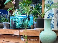 -谷咖啡·鲜花绿植花园餐厅