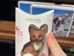 -Laderach 莱德拉(上海环贸iapm店)