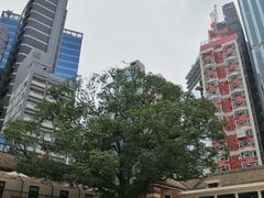-大馆(前中区警署建築群)