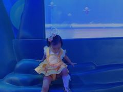 -沈阳海洋探索中心