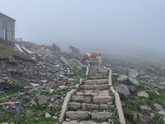 -灵山