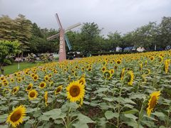 -广州莲花山旅游区