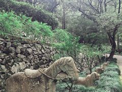 -宁波市保国寺古建筑博物馆