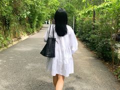 -西双版纳原始森林公园