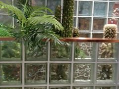 -悦海·家宴·冰花皮皮虾大锅贴(宝龙店)