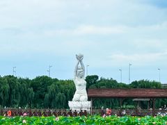 -荷塘月色湿地公园·向阳花洲