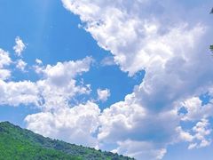 -秦岭风景区