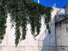 -蜜悦·波西塔诺悬崖海景餐厅
