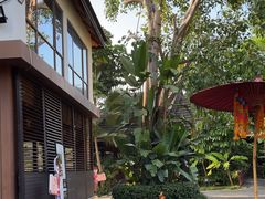 -西双版纳洲际度假酒店-曼霖轩中餐厅