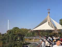 -合肥野生动物园