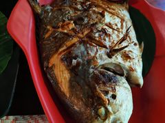 清迈烤鱼-泰妃堂.泰菜.夜宵(赤岗总店)