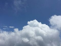 -王顺山国家森林公园