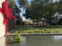 -养云安缦吧THE BAR