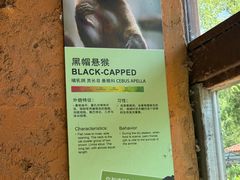 -齐齐哈尔龙沙动植物园