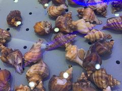 -澜悦港海鲜体验主题餐厅