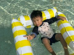-重庆海昌加勒比海水世界