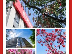 -天籁艺术高考培训学校·重庆艺考集训